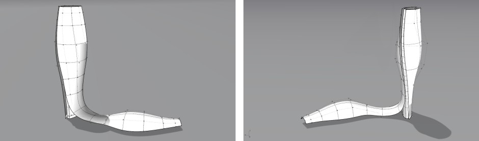 The free-form conceptual shape modeled in Rhino